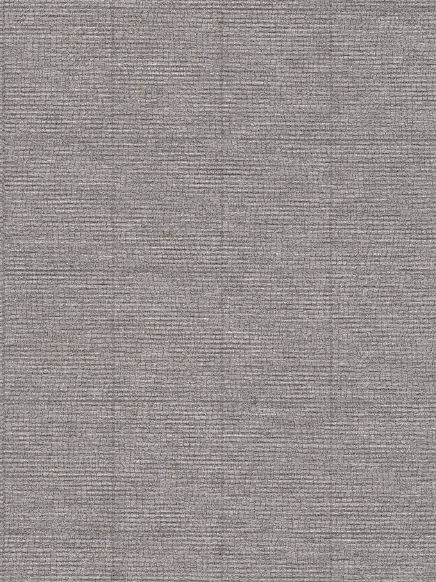 Tile optics wallpaper used look & crackle effect - grey
