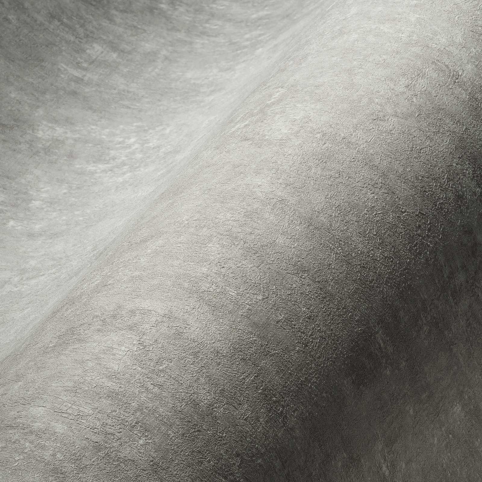            Papier peint intissé Béton texturé gris clair chiné - Gris
        