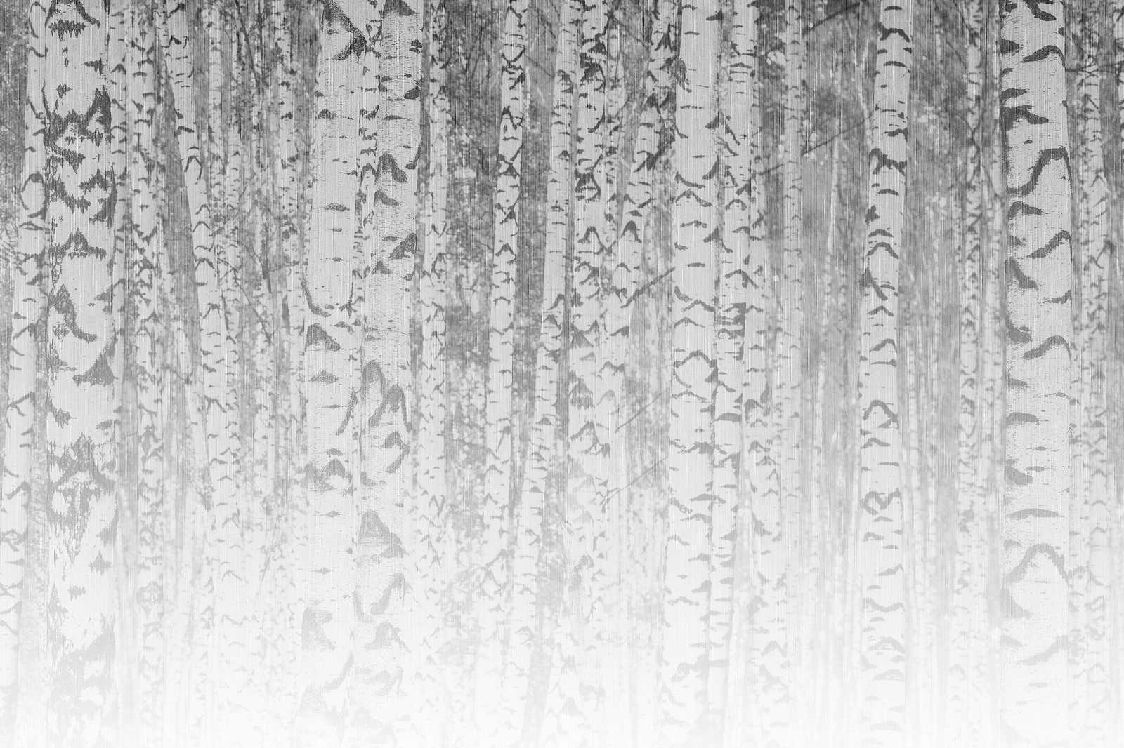            Cuadro en lienzo troncos claros de abedul en bosque brumoso - 0,90 m x 0,60 m
        