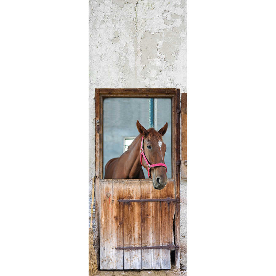 Carta da parati moderna Porta della stalla con cavallo su tessuto non tessuto liscio opaco
