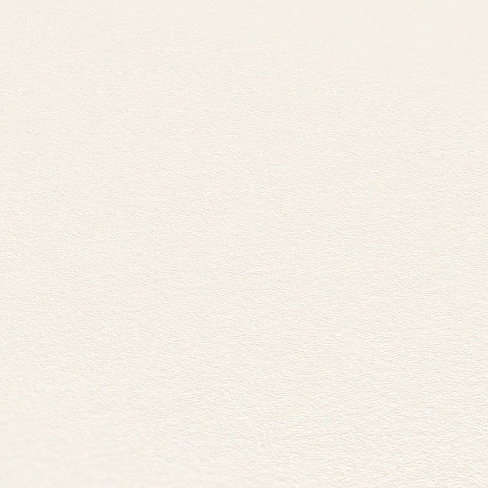             Matte non-woven wallpaper white neutral plain with foam structure
        