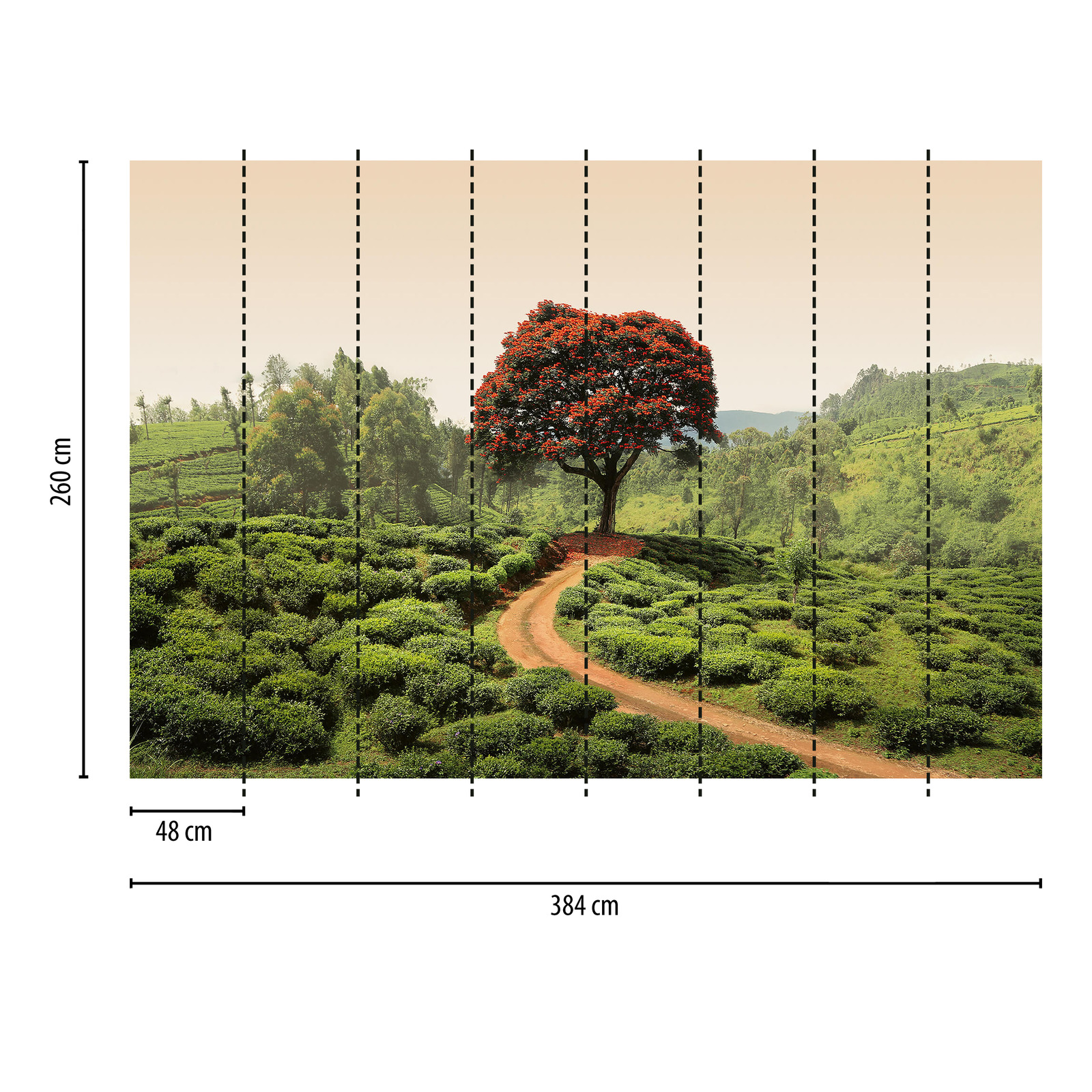             Fotomurali Paesaggio dello Sri Lanka - Verde, rosso, marrone
        