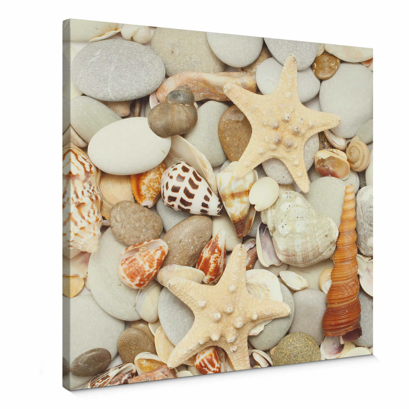 Square canvas print shells and stones
