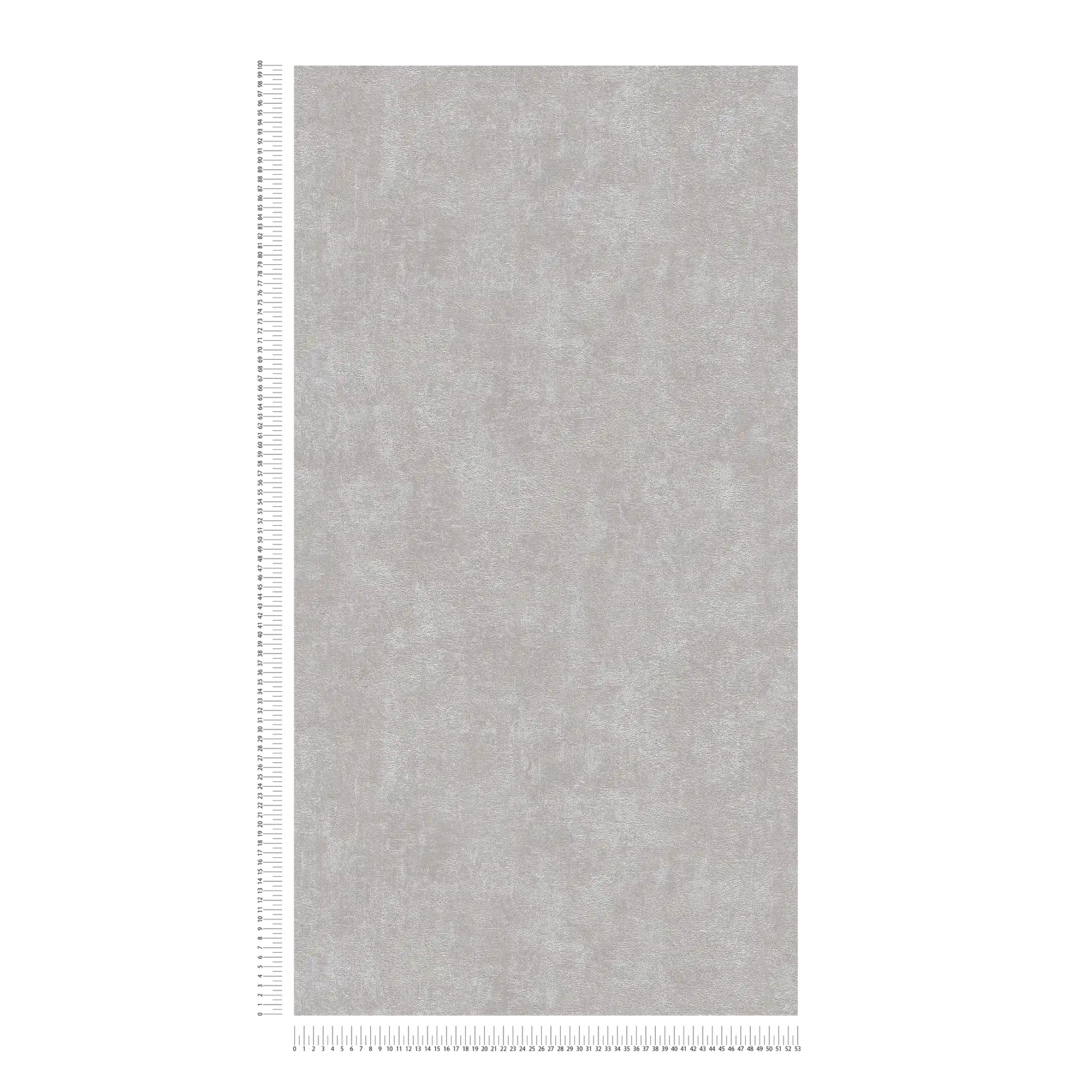             Carta da parati struttura in gesso, liscia e satinata - grigio
        