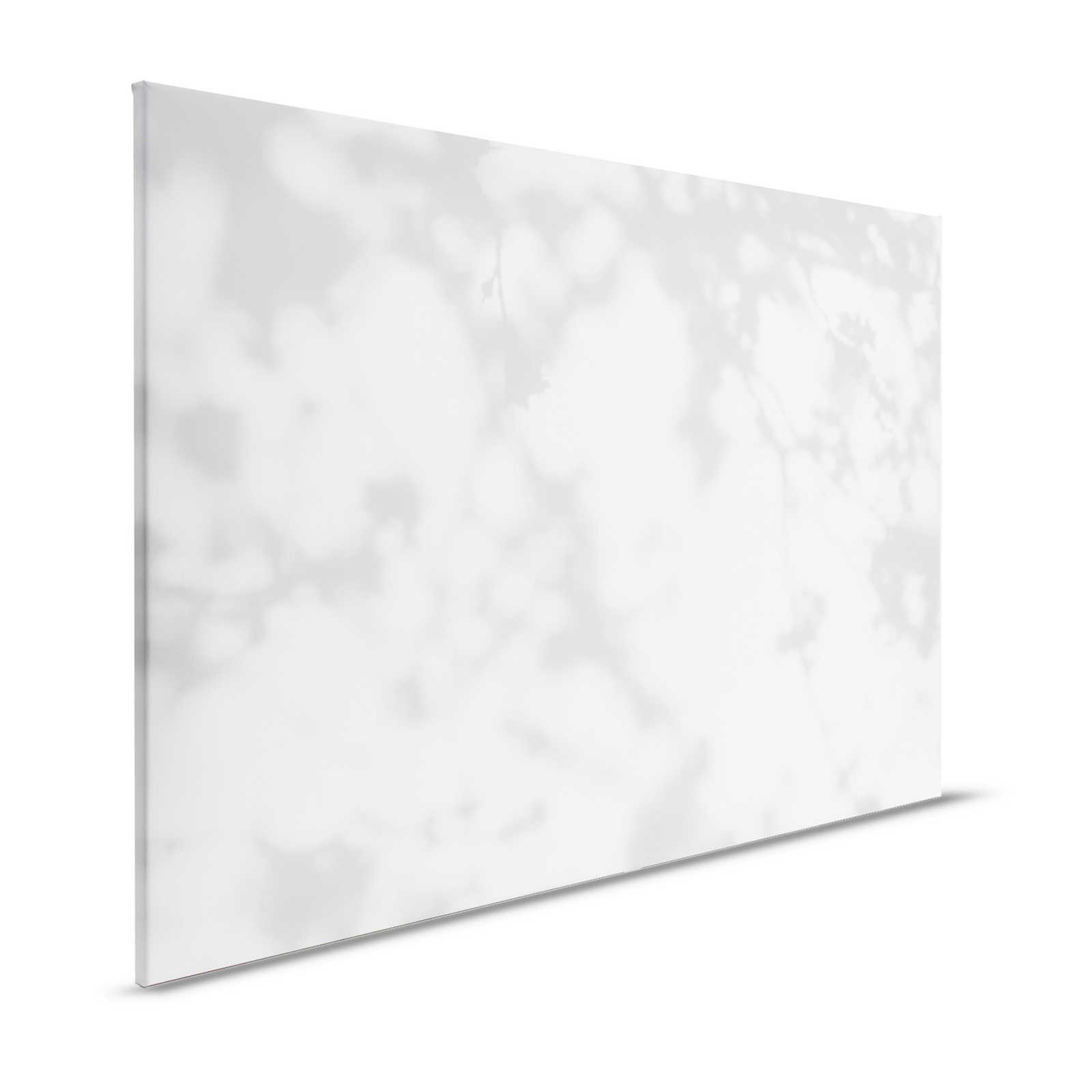 Habitación luminosa 1 - Cuadro en lienzo Sombras de la naturaleza en gris y blanco - 1,20 m x 0,80 m
