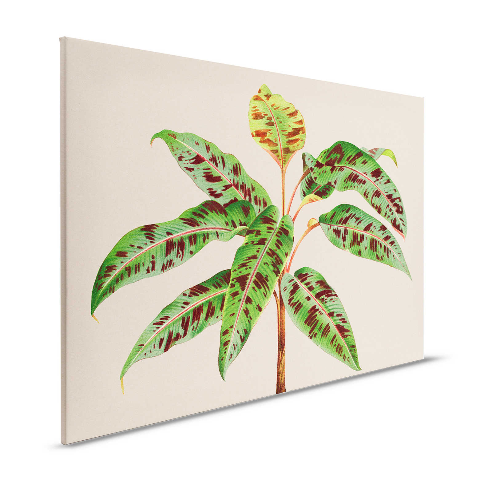 Leaf Garden 4 - Quadro su tela con piante tropicali e foglie verdi - 1,20 m x 0,80 m
