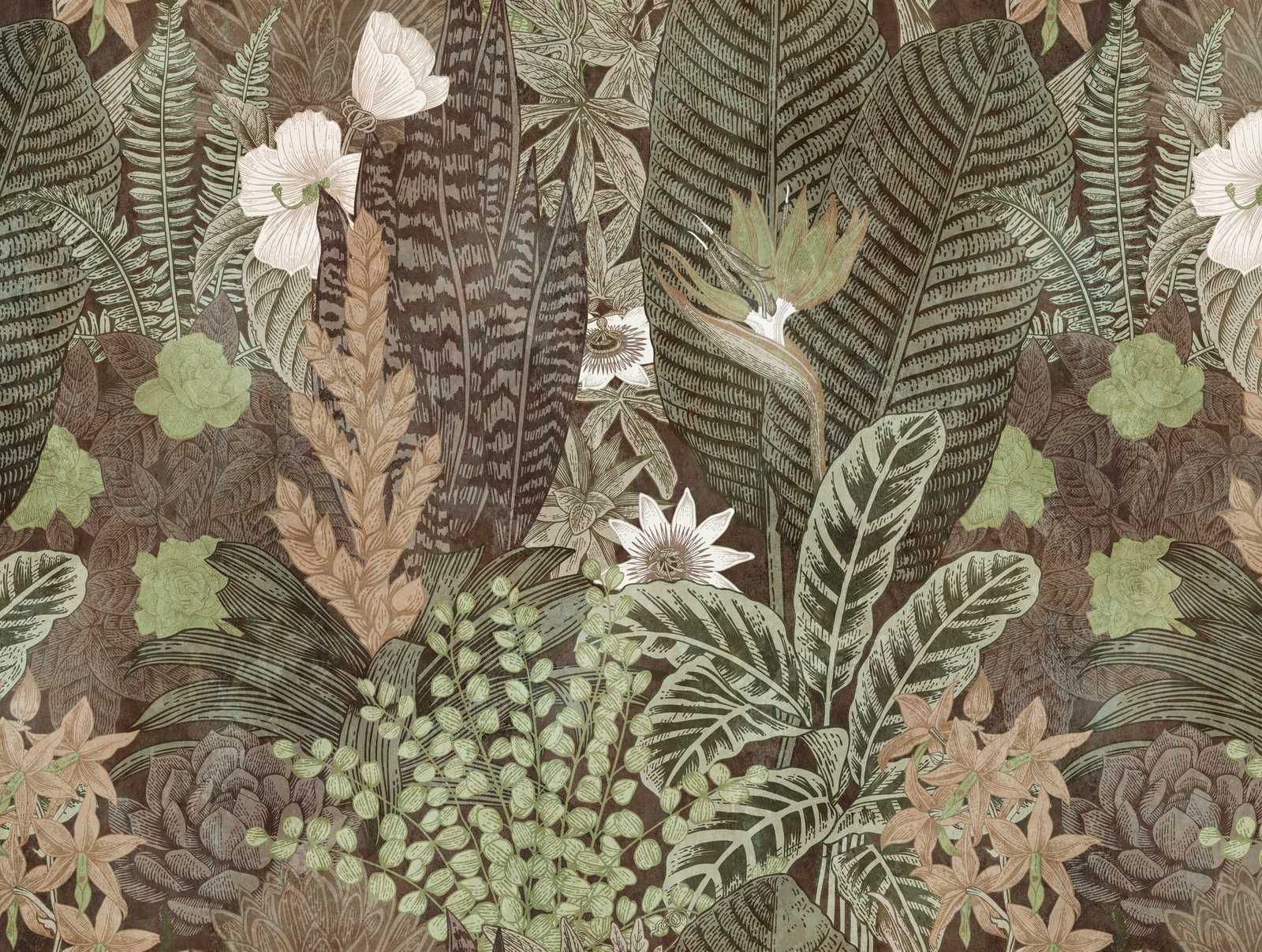             Novedades en papel pintado - papel pintado con motivo de la naturaleza en estilo de dibujo, marrón y verde
        