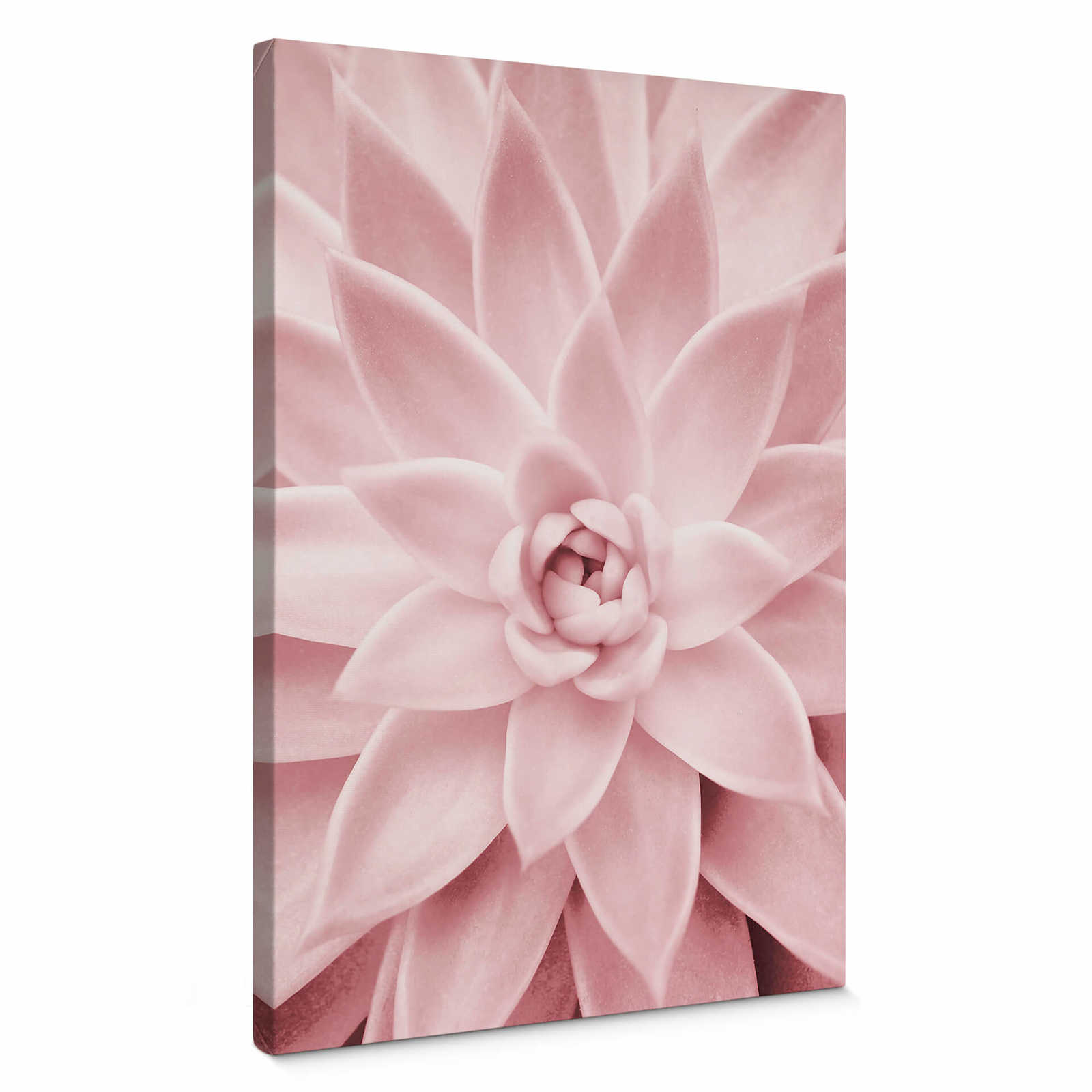         Canvas print pink succulents, Sisi & Seb – pink
    
