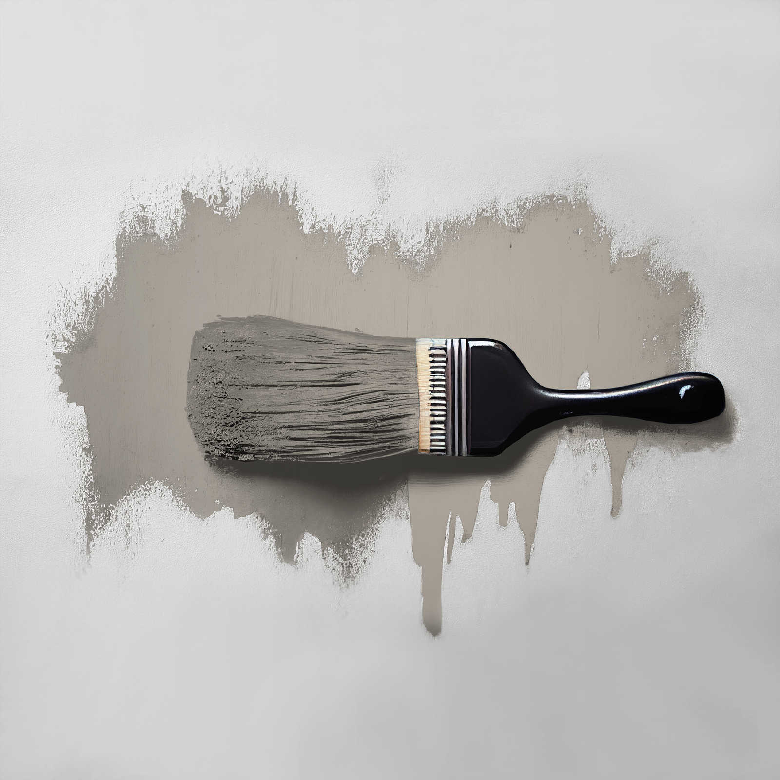             Wall Paint TCK1019 »Grey Pumpkin« in homely taupe – 5.0 litre
        