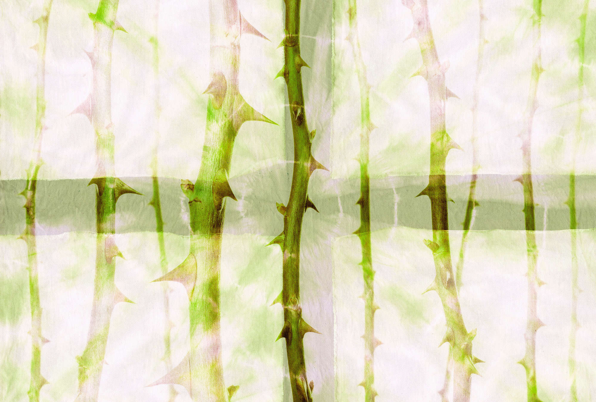             Pastel mural thorns pattern - green, white, grey
        