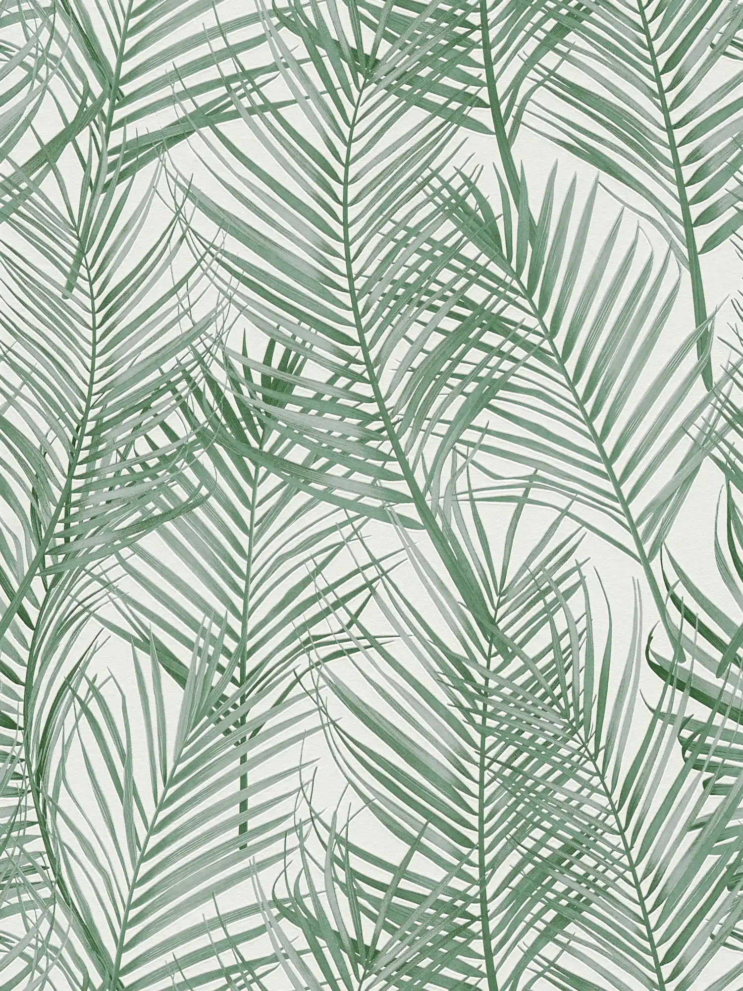 Vliesbehang met groot palmboompatroon - groen, wit
