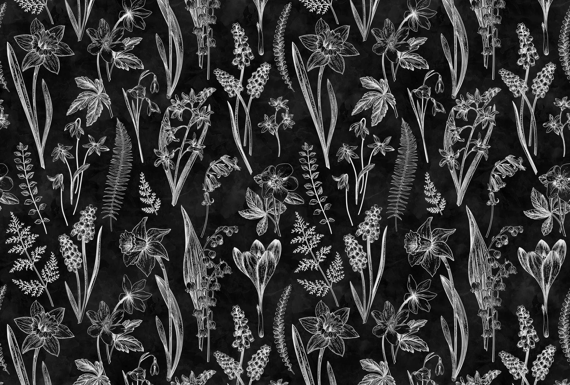             Photo wallpaper black and white botanical design
        