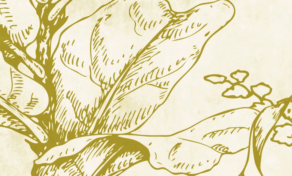             Papier peint motif fleurs & feuilles - crème, beige
        