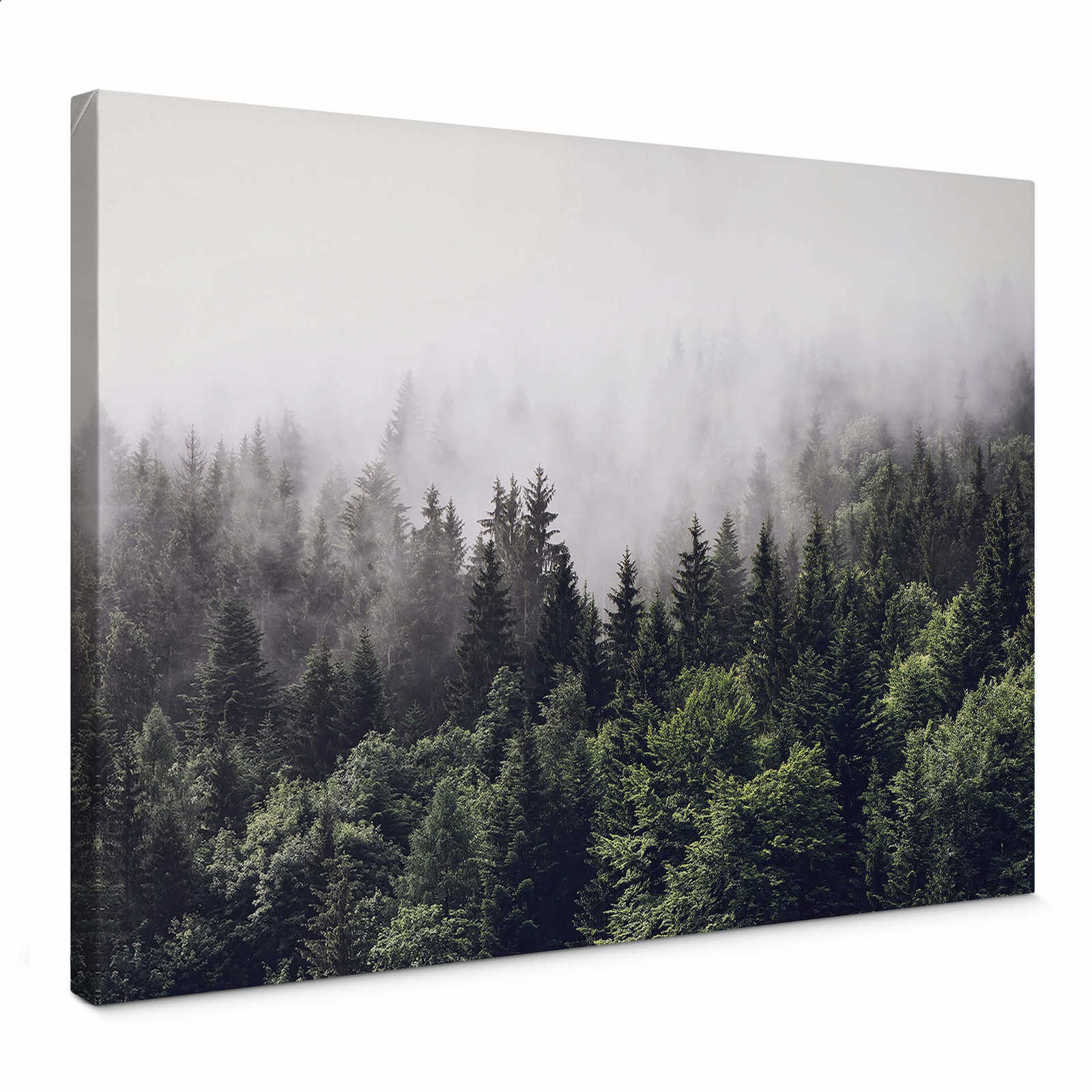         Canvas print forest in the morning mist – green
    