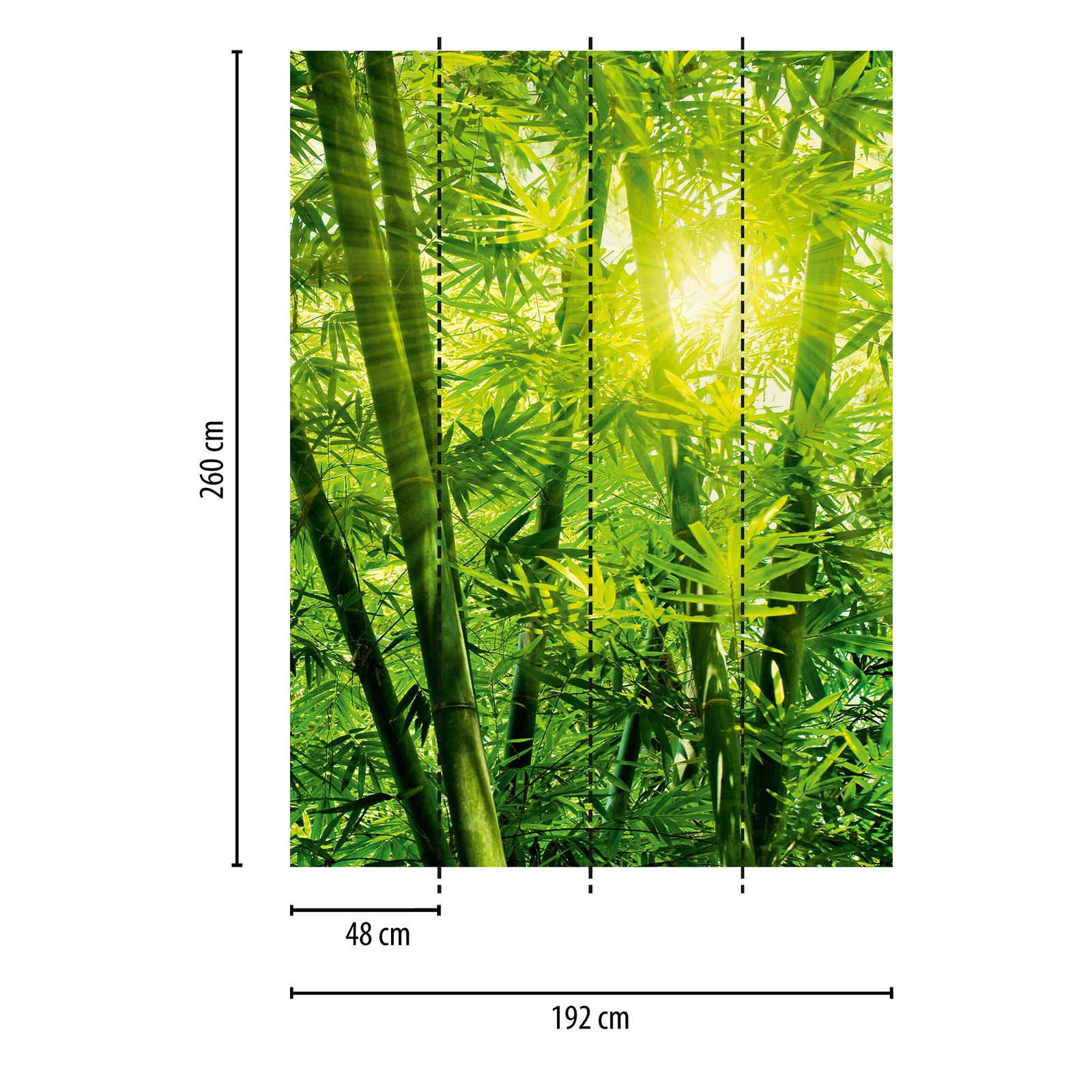             Papier peint panoramique bambou Jungle au soleil - Vert
        