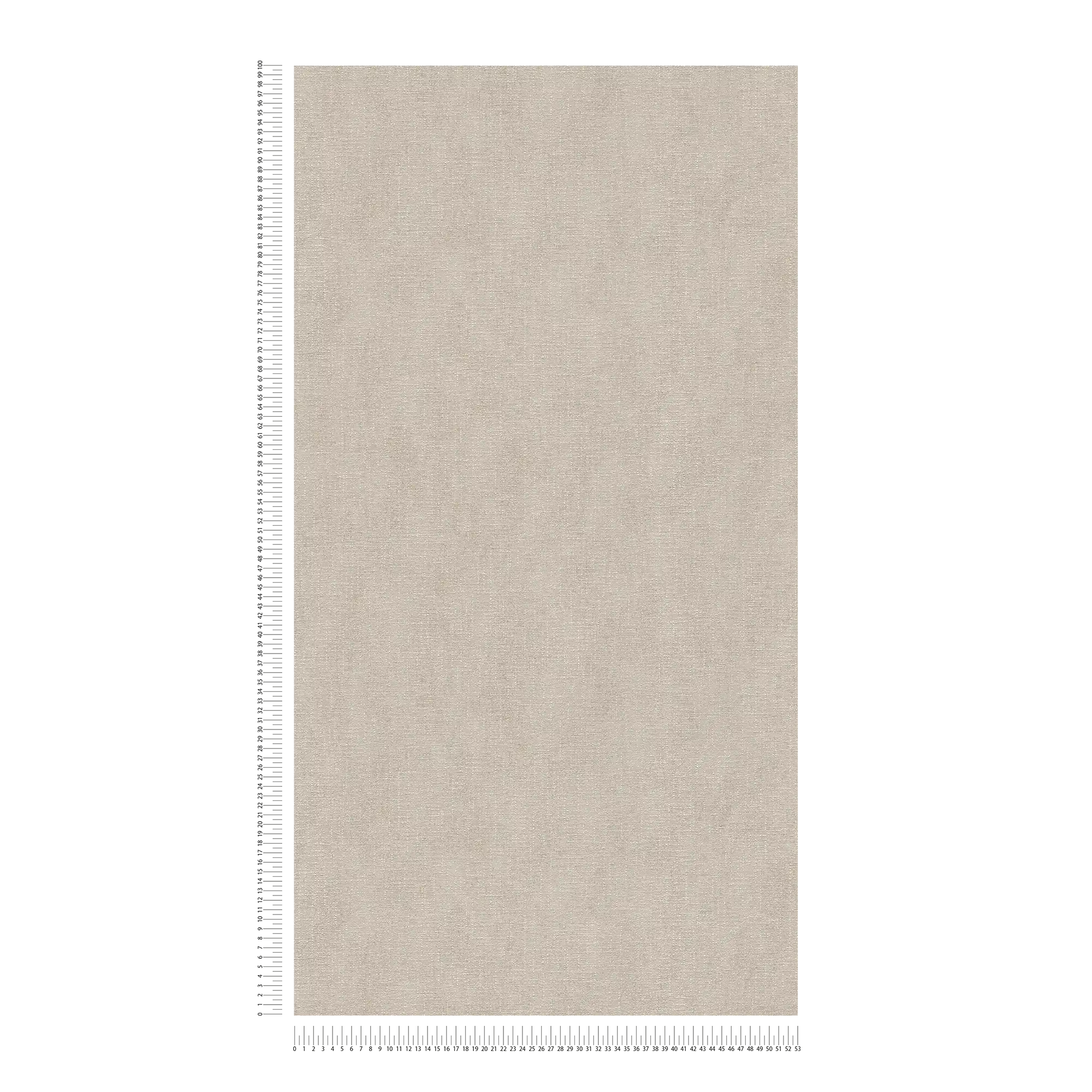             Carta da parati in tessuto non tessuto grigio chiaro con finitura shimmer e motivo strutturato - Grigio
        