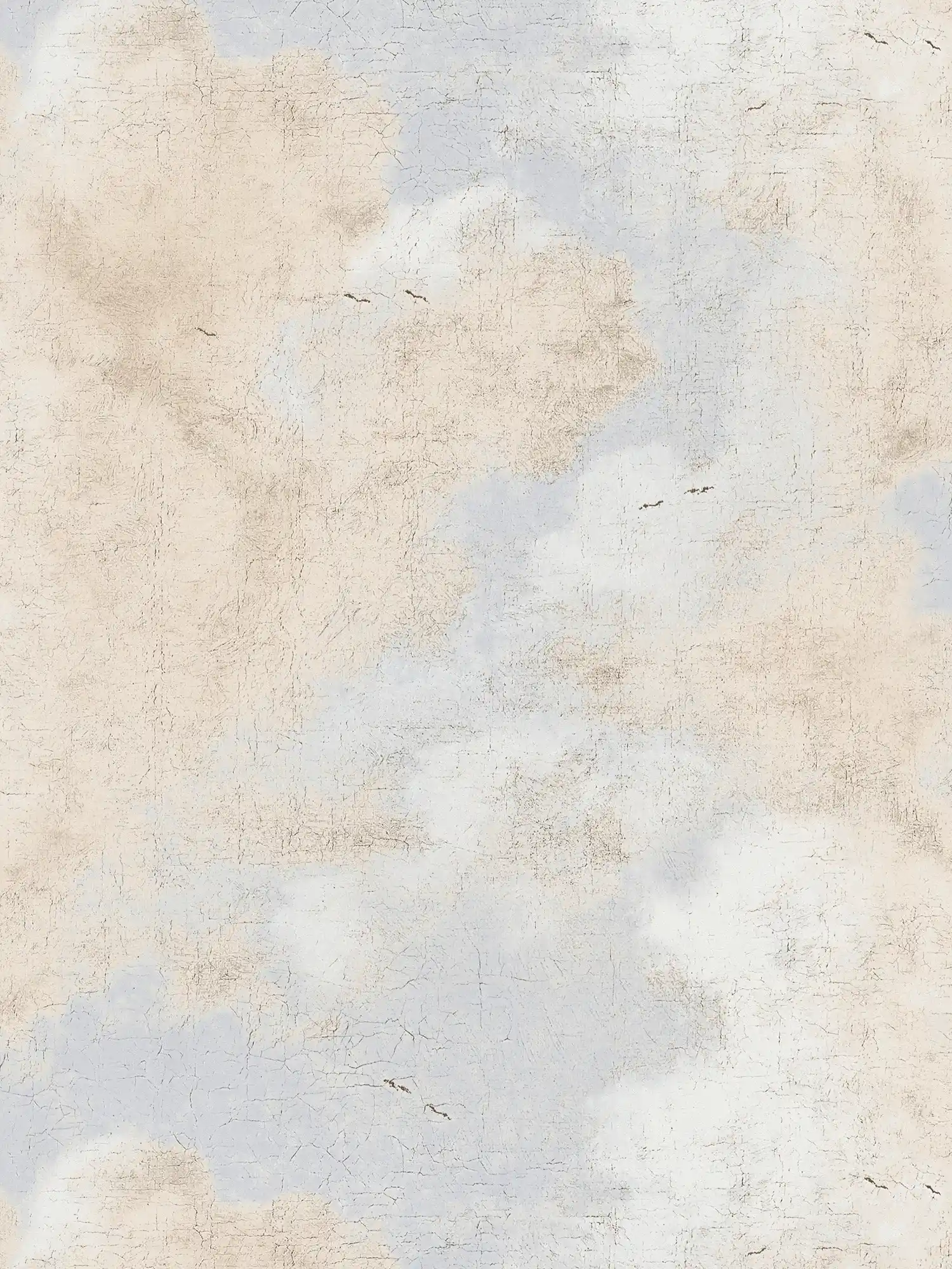 Papier peint nuageux imitation peinture à l'huile - crème, blanc
