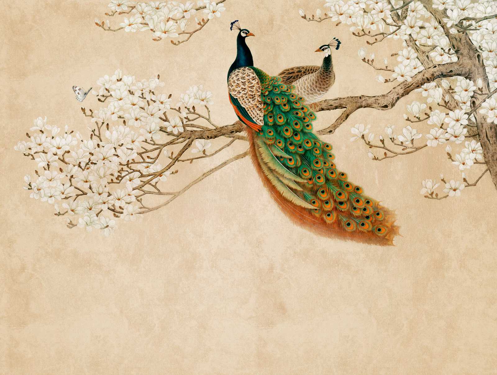             Nouveauté papier peint - papier peint à motifs Fleurs de cerisier & paon dans le style asiatique
        