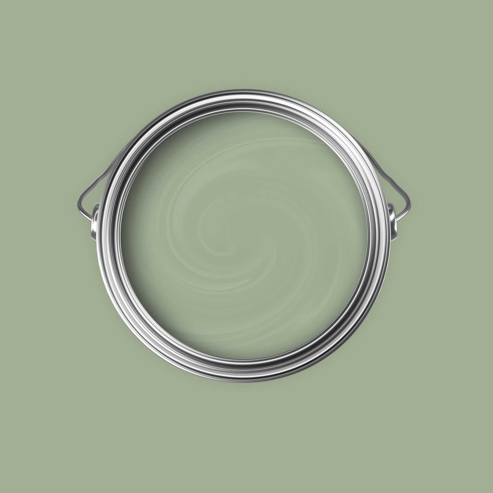             Premium Wall Paint Earthy Olive Green »Gorgeous Green« NW502 – 5 litre
        