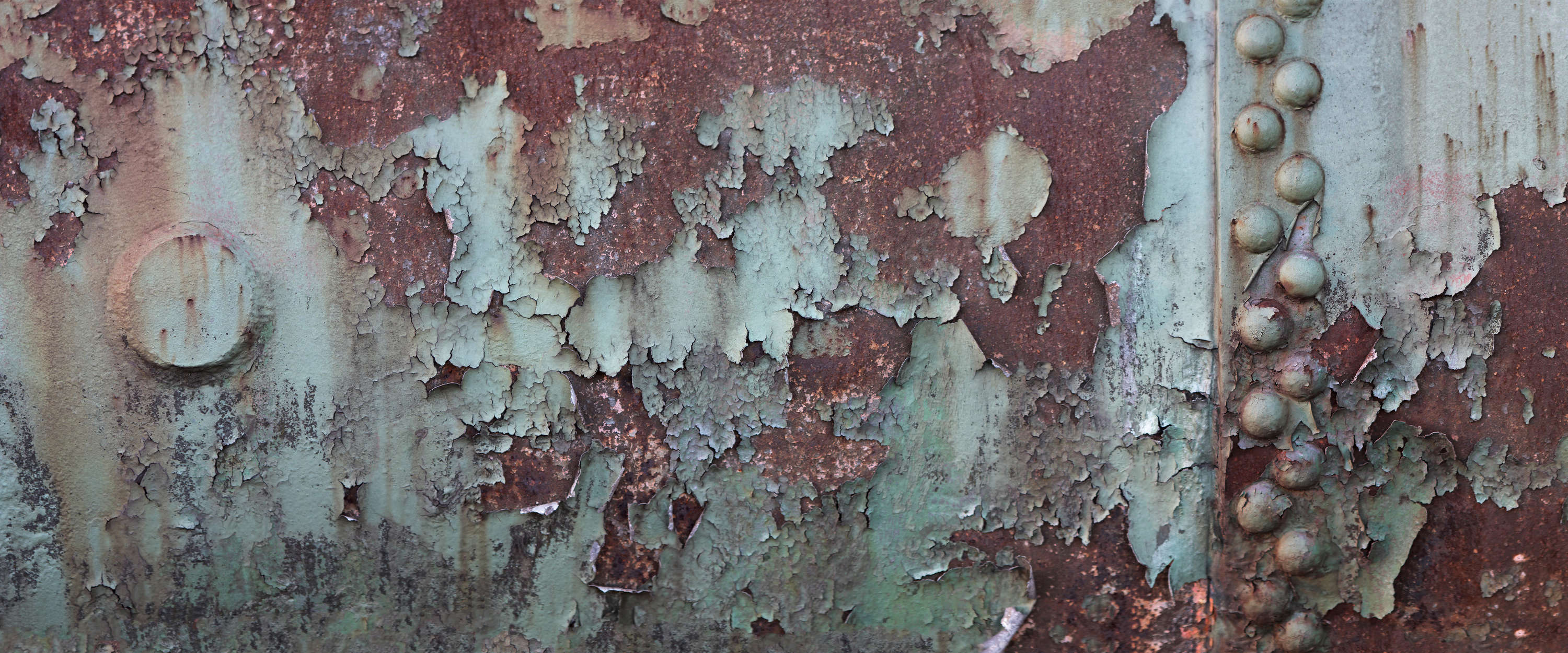             Muurschildering corroderende scheepsmuur - metalen plaat met roest
        