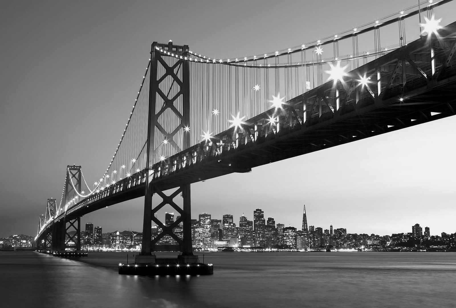         Black and white photo wallpaper San Francisco skyline & bridge
    