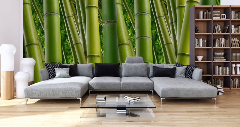             Natuur Onderlaag behang Bamboe in Groen - Premium Glad Vlies
        