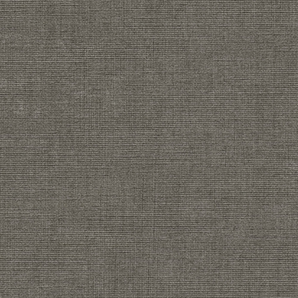             Brown wallpaper plain and mottled with texture embossing
        