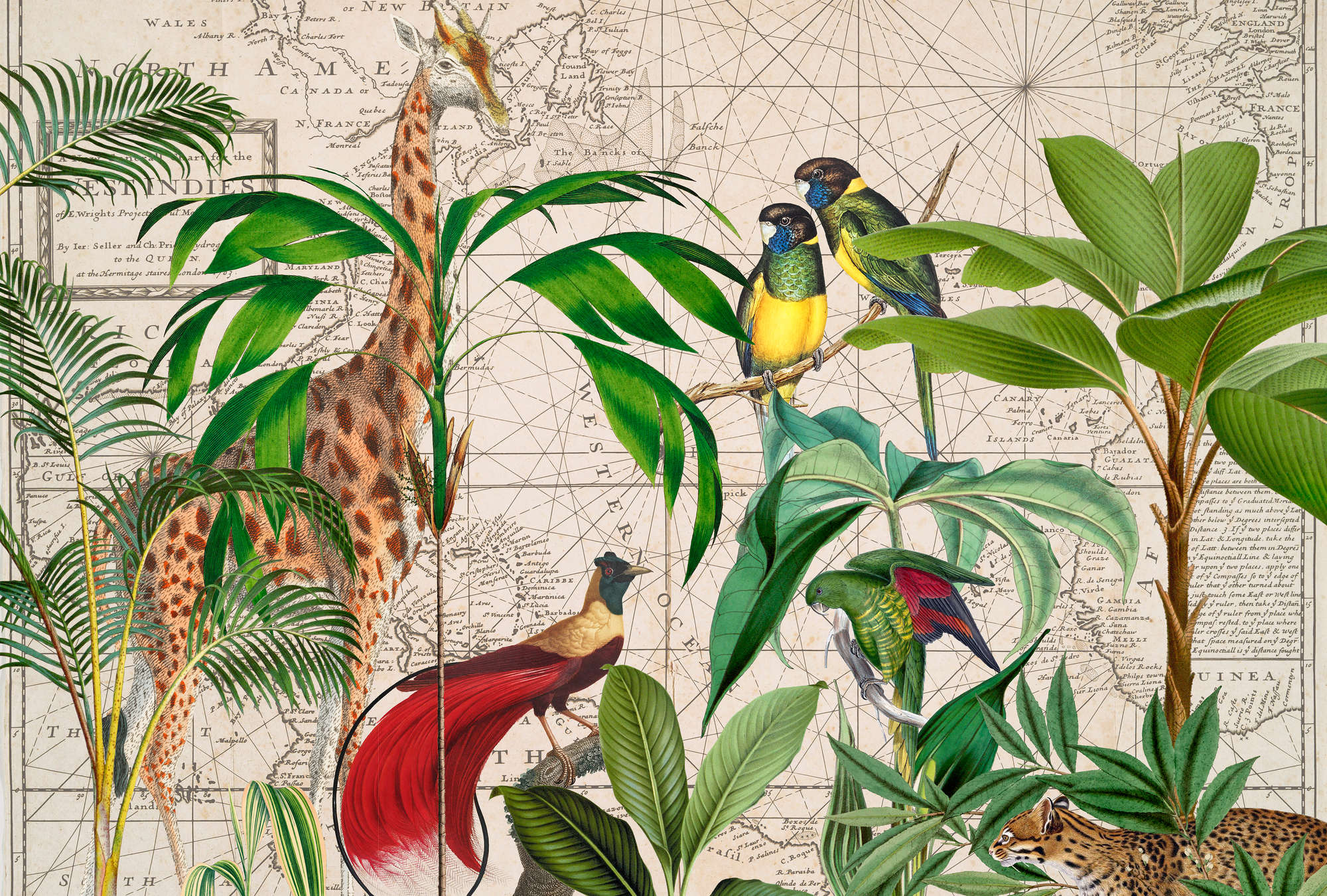             Wildlife mural birds & giraffes with retro map in collage style
        