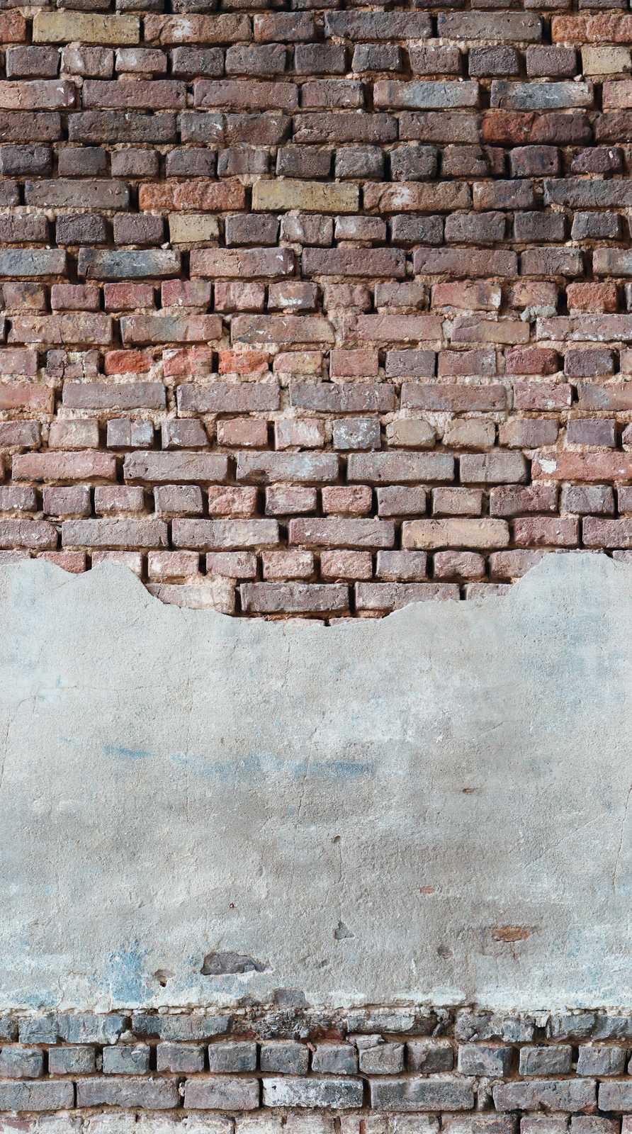             Wallpaper novelty | wall optics motif wallpaper bricks & plaster
        