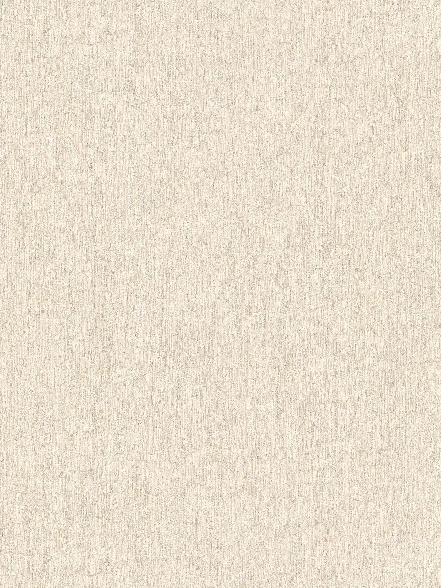         Non-woven wallpaper in plaster look, lightly textured - beige, cream, silver
    