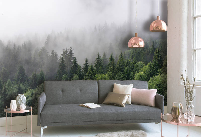            Forêt vue d'en haut par un jour de brouillard - Vert, Blanc
        