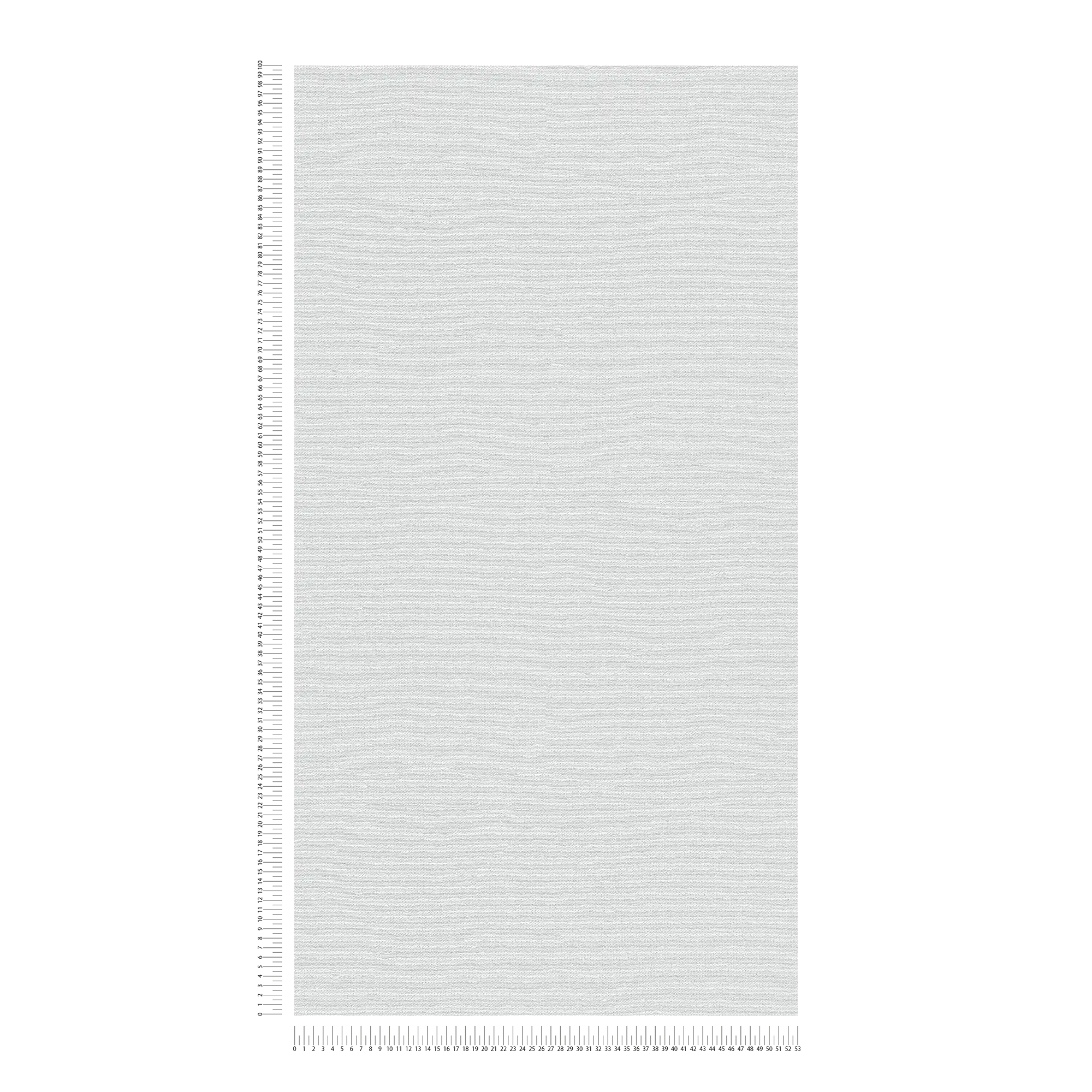             Carta da parati in tessuto non tessuto con aspetto scandinavo e struttura in lino - grigio chiaro
        