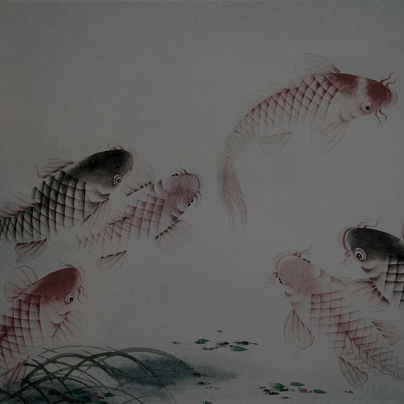         Photo wallpaper Asia Style with koi pond - grey
    