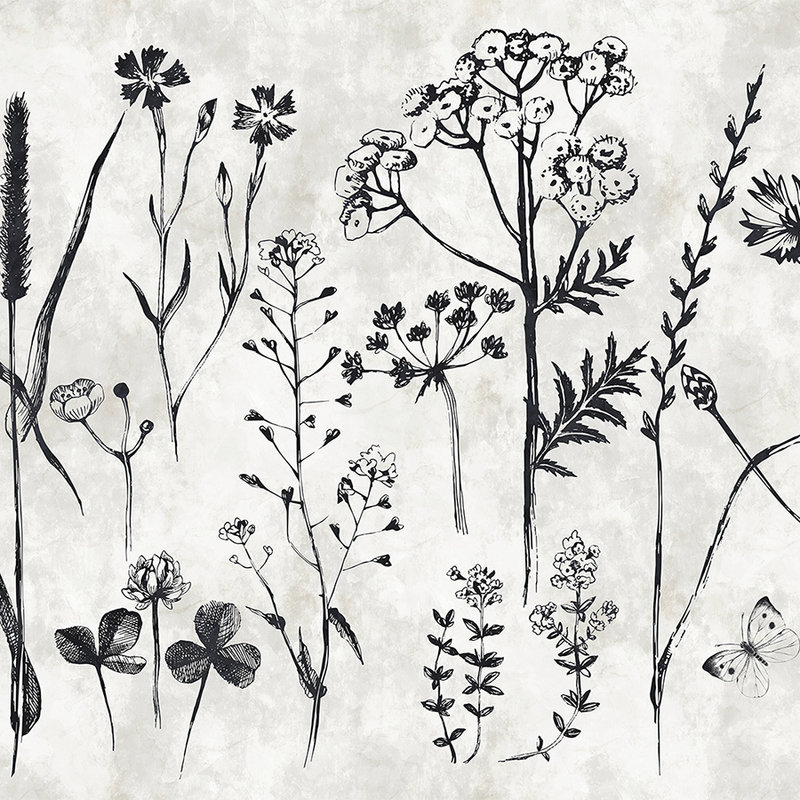 Herbs mural for the kitchen - White, Black
