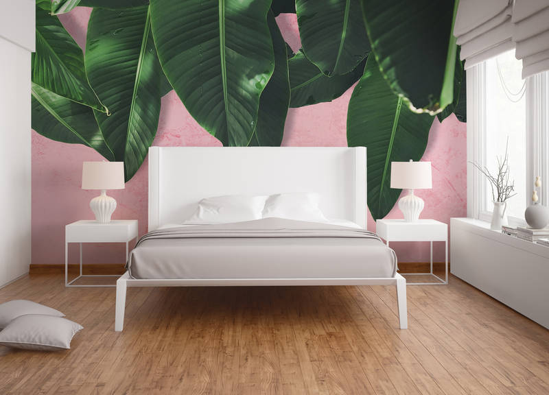             Photo wallpaper tropical leaves wall - pink, green
        
