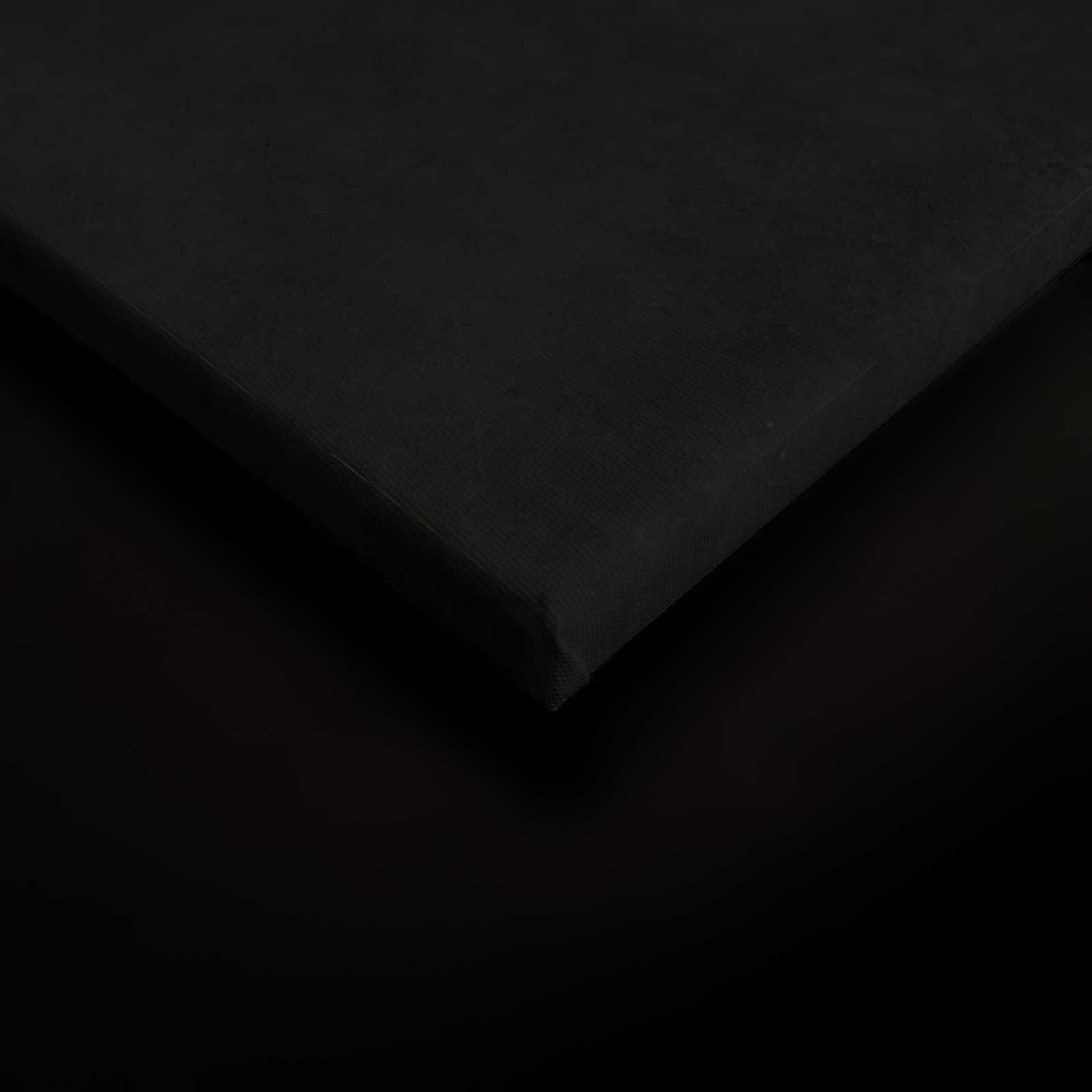             Giardino di mezzanotte 2 - Quadro su tela nera Ramo di fiori bianchi - 0,80 m x 1,20 m
        