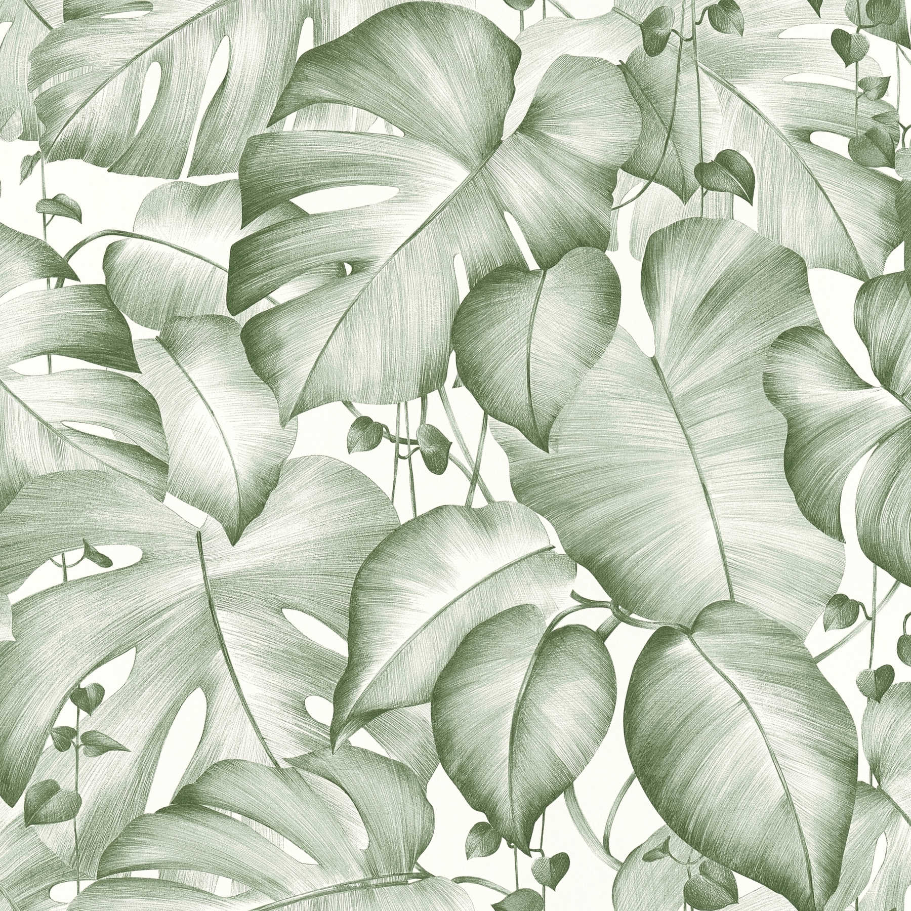             Pannello di design autoadesivo con foglie di Monstera - Verde, Bianco
        