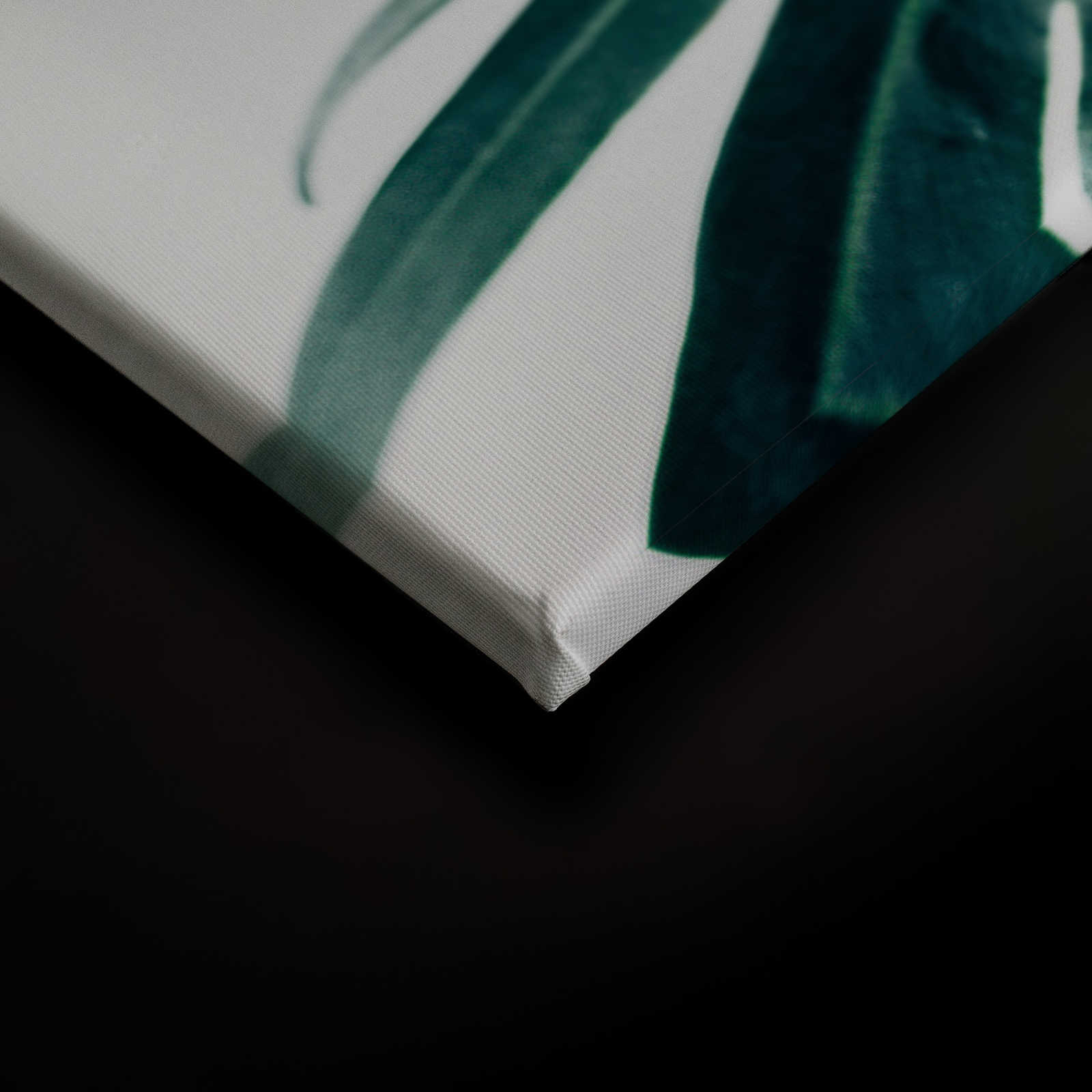             Canvas schilderij tropisch oerwoudblad close-up - 0,90 m x 0,60 m
        