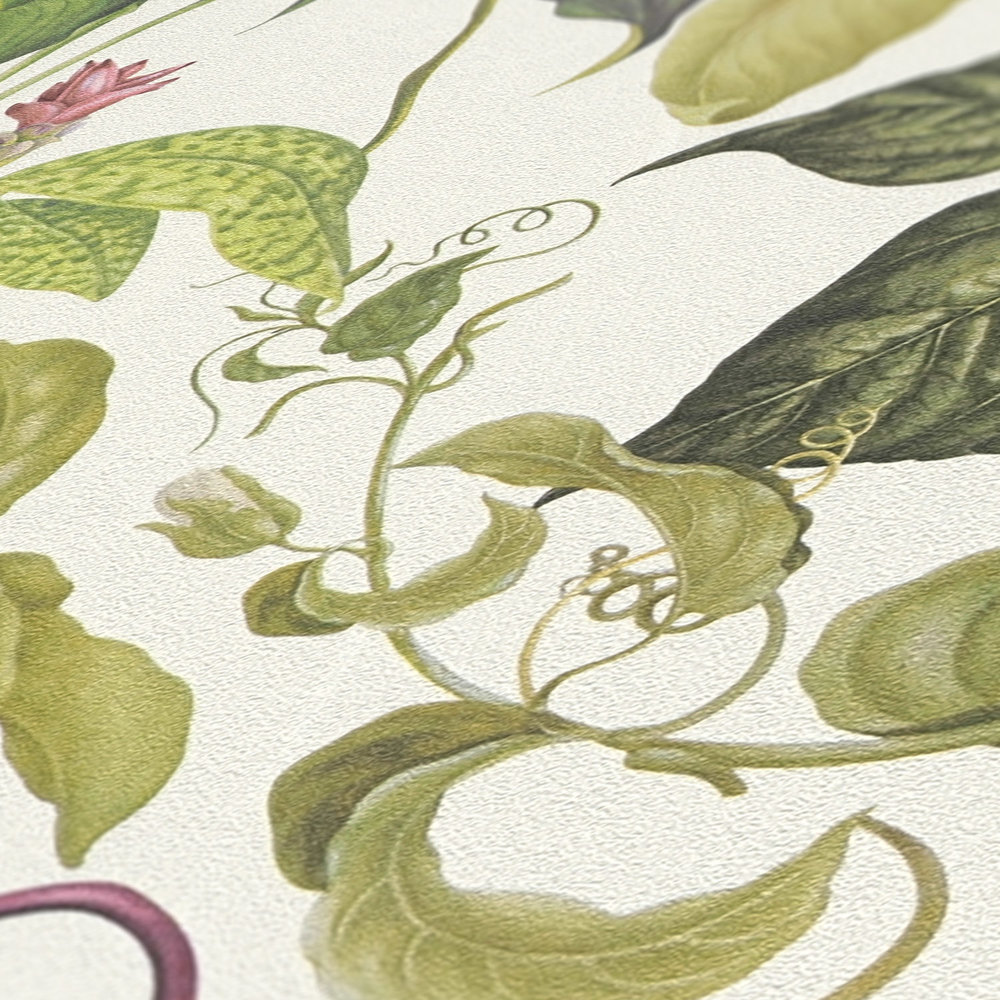             Papel pintado no tejido Flores tropicales de MICHALSKY - verde, crema
        