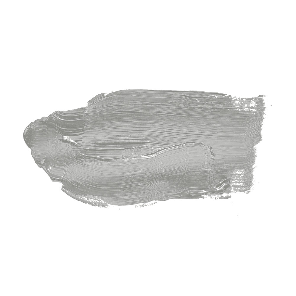             Wall Paint TCK1004 »Shady Spice« in cool grey – 5.0 litre
        