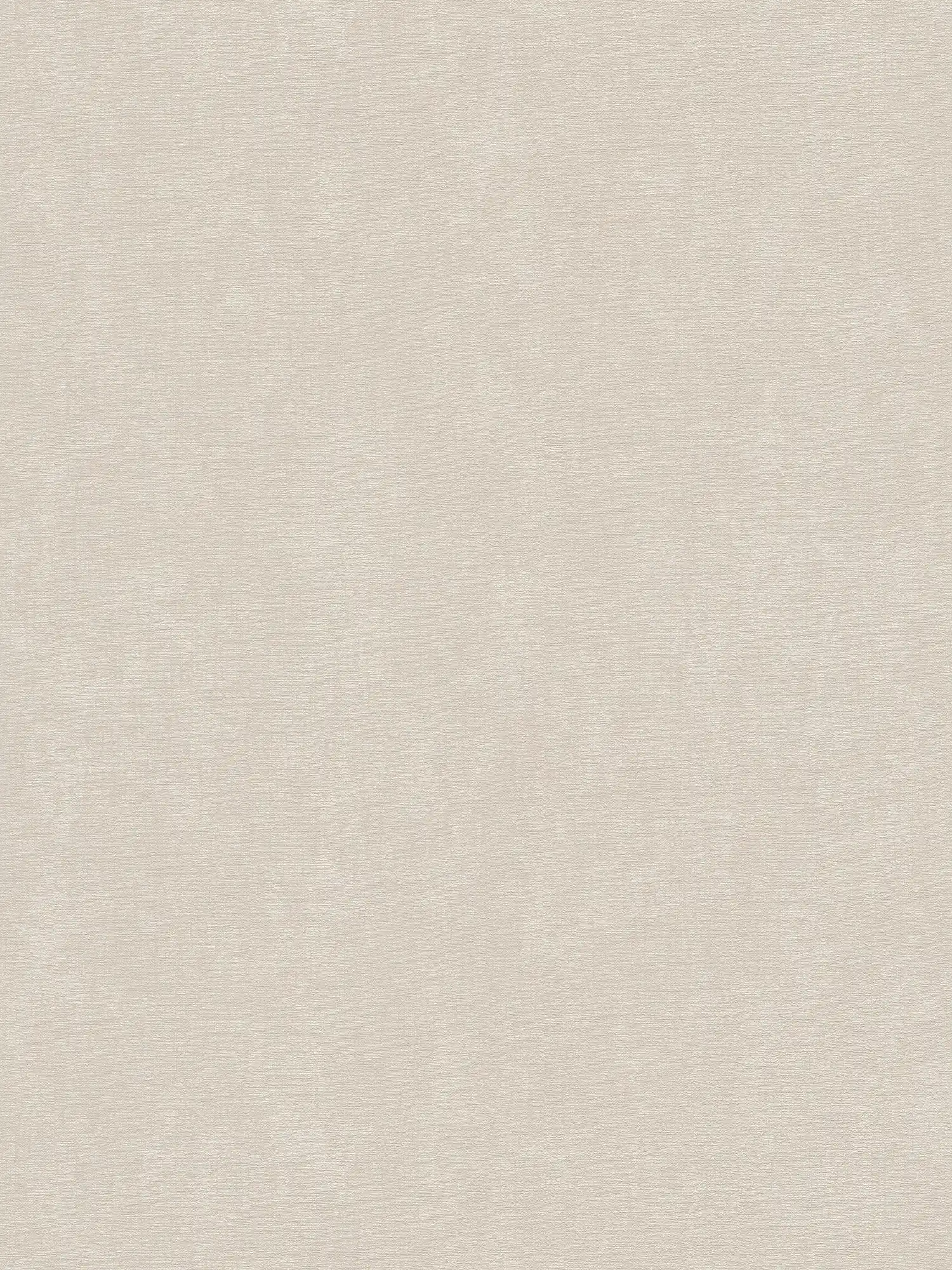 Lightly textured non-woven wallpaper, single-coloured - beige
