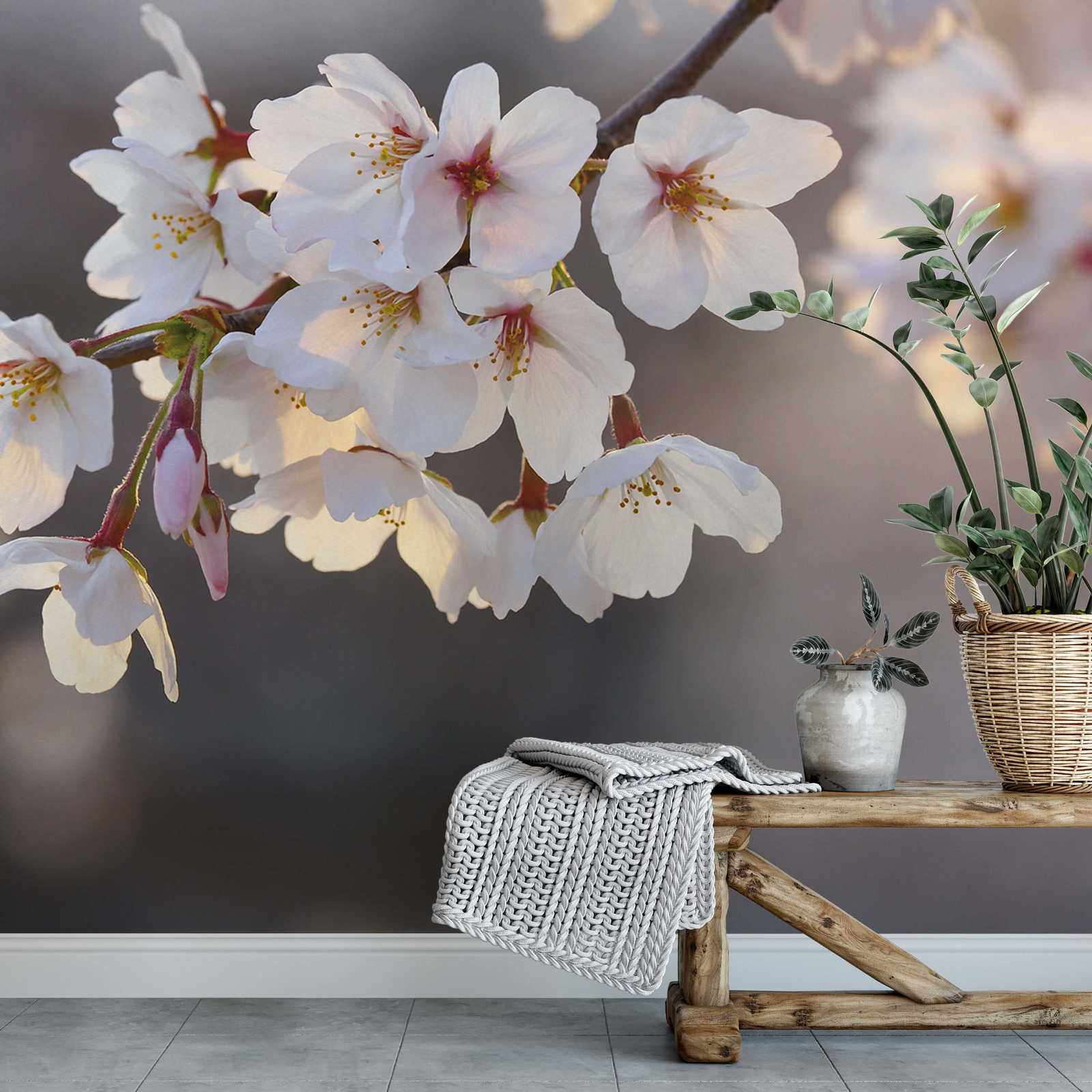             Papier peint fleurs de cerisier - blanc, rose, marron
        