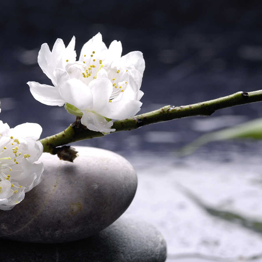 Spa behang witte bloemen op stenen op parelmoer glad vlies

