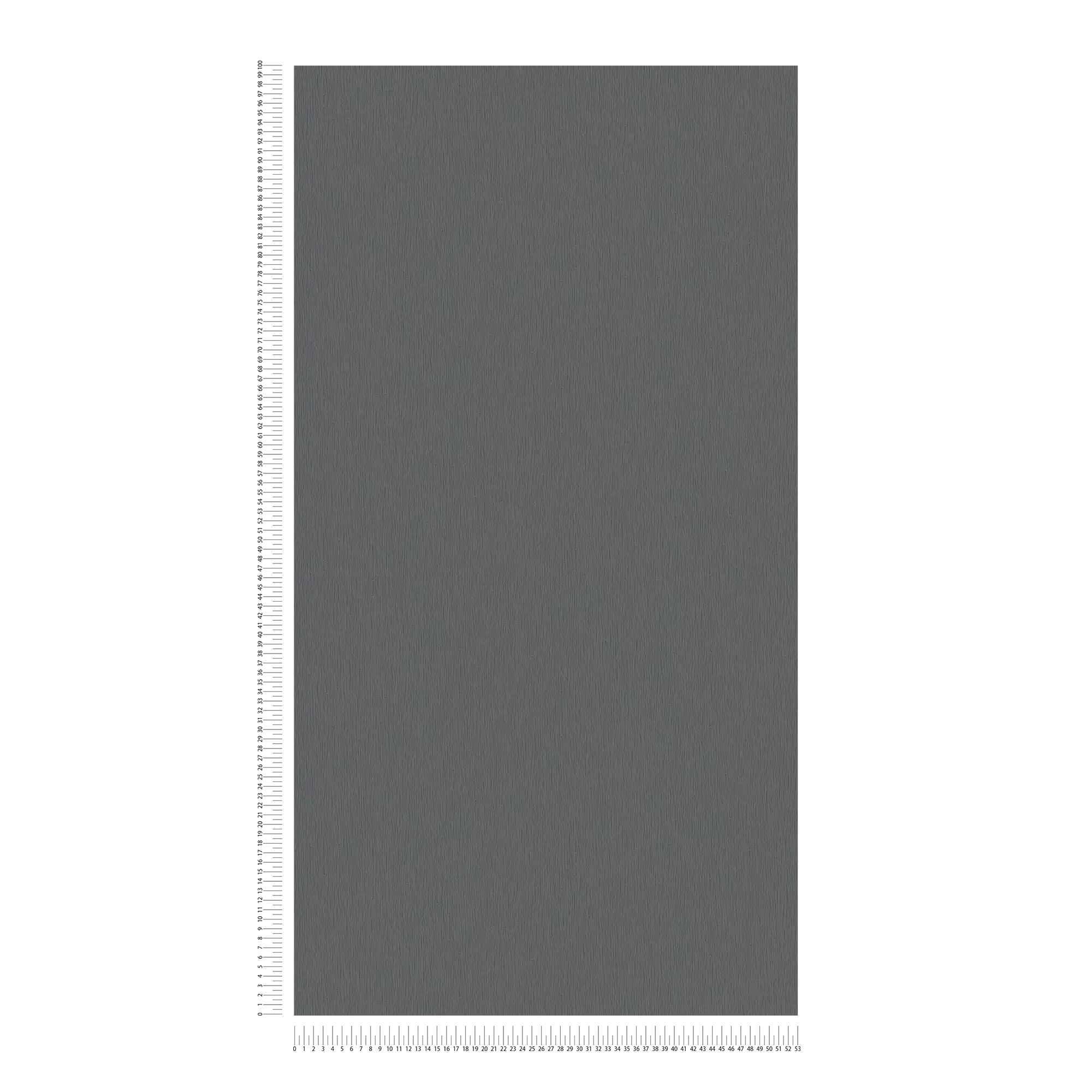             Carta da parati in tessuto non tessuto antracite con motivo naturale tono su tono - metallizzato, nero
        