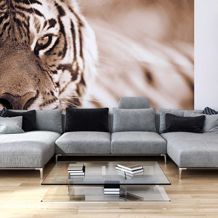 Papier peint panoramique tigre gros plan en extérieur sur intissé lisse mat
