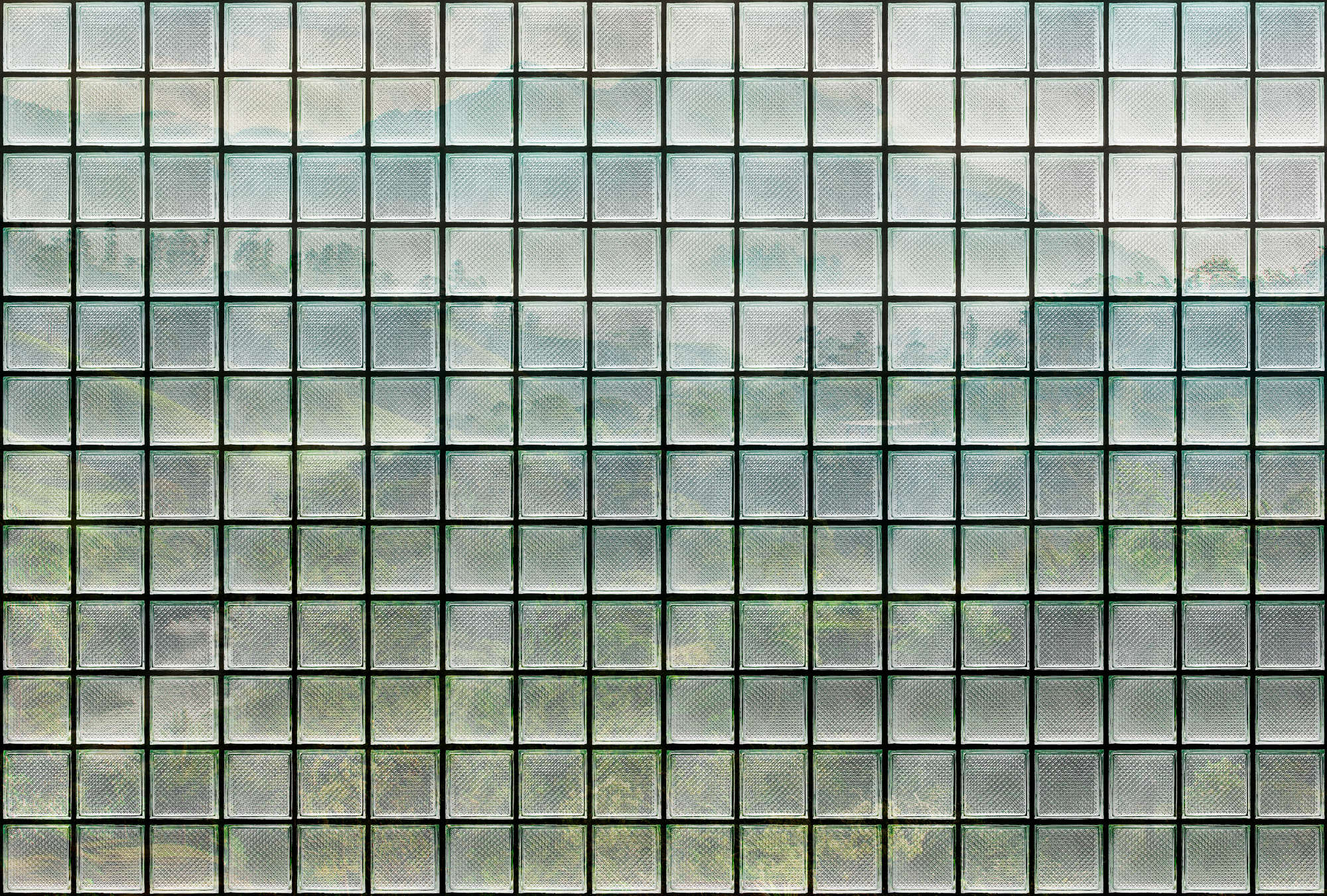             Green House 3 - Papier peint fenêtre briques de verre & forêt tropicale
        