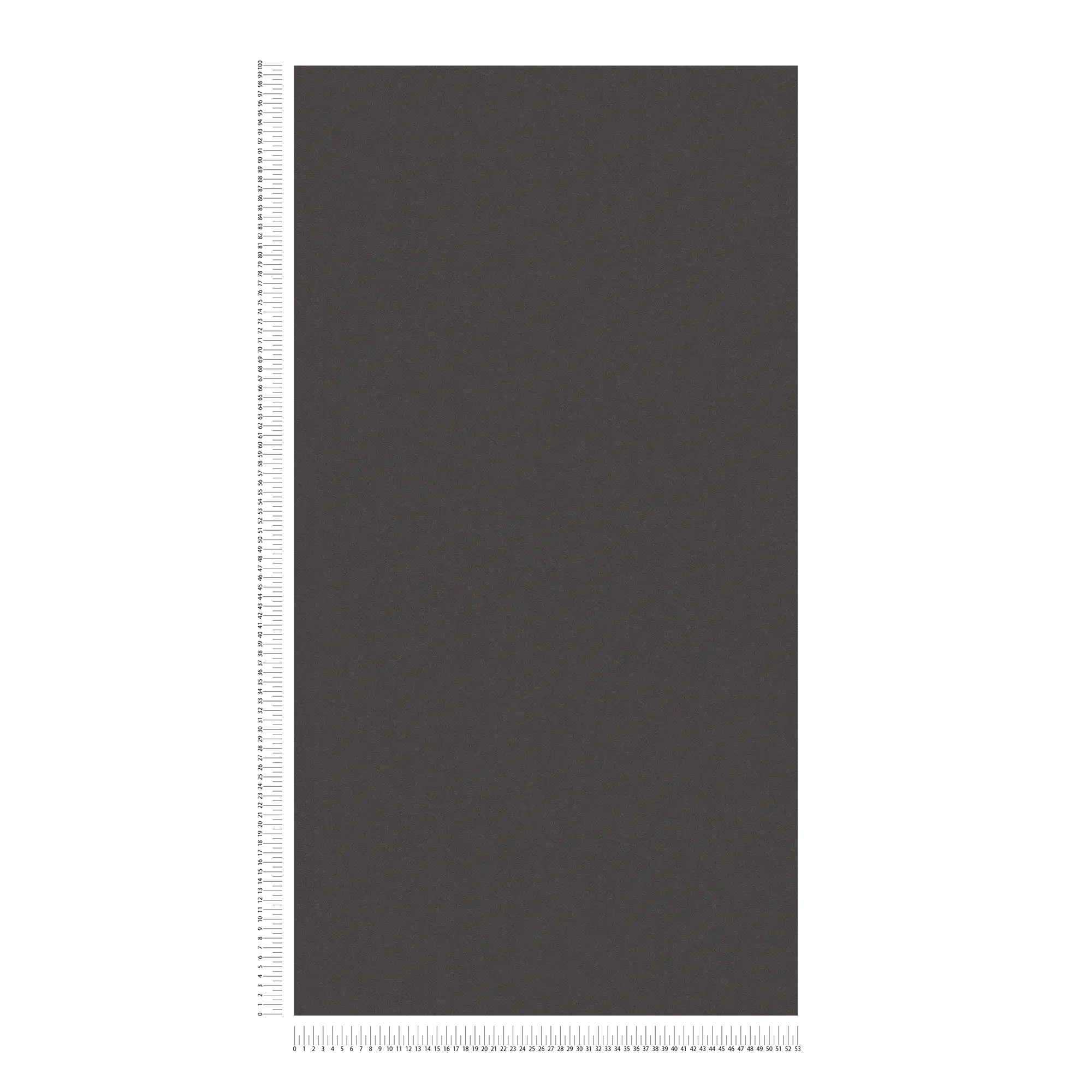             Carta da parati liscia con struttura superficiale discreta - nero
        