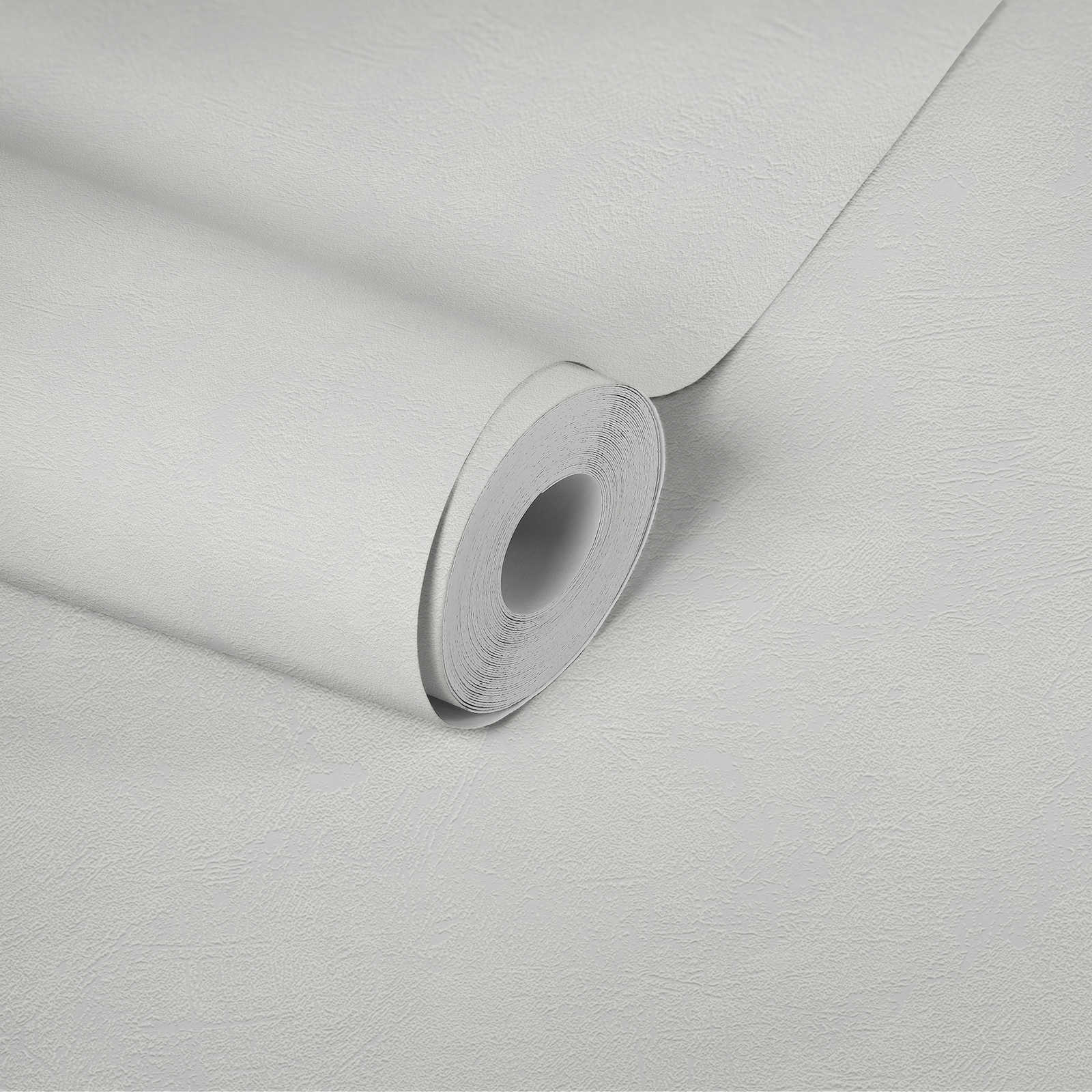             Carta da parati verniciabile in tessuto non tessuto con struttura - 25,00 m x 1,06 m
        