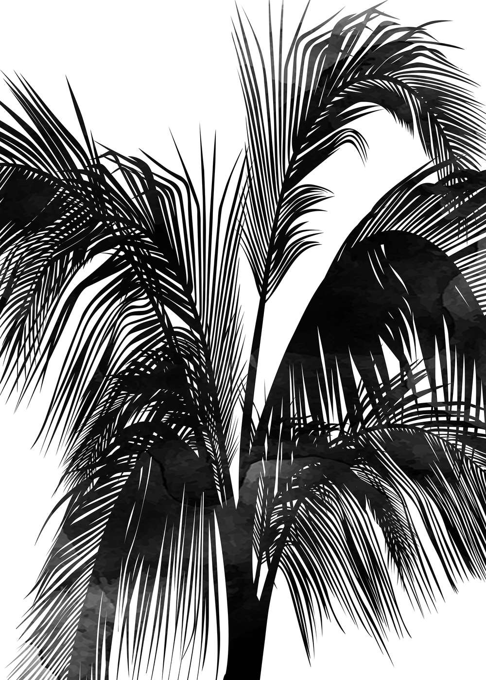             Black and white mural palm trees Sunset Boulevard
        