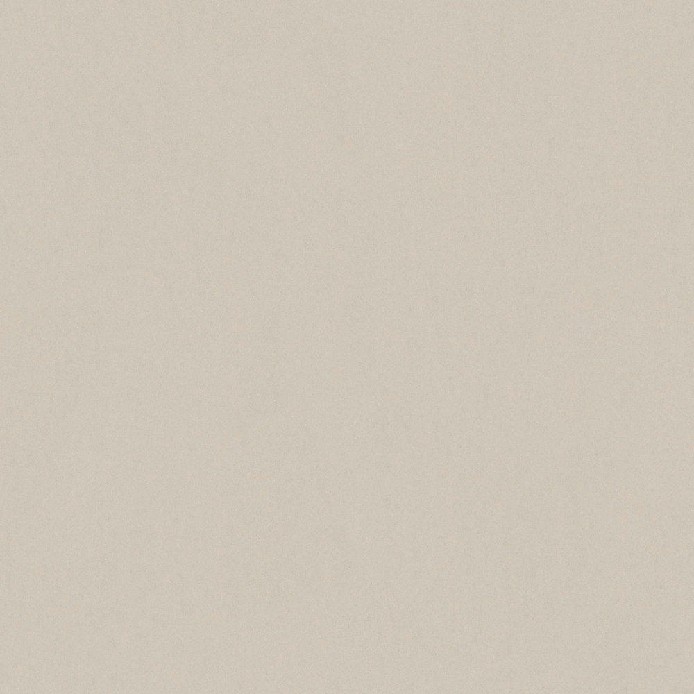             Plain wallpaper taupe matte finish - grey
        